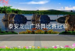 泰安龙山广场舞比赛冠军