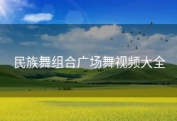 民族舞组合广场舞视频大全