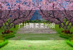 广场舞柔柔的眼