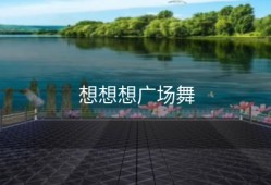 想想想广场舞