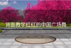 背面教学红红的中国广场舞