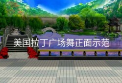 美国拉丁广场舞正面示范