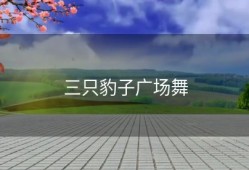 三只豹子广场舞