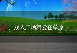 双人广场舞爱在草原