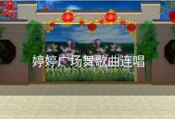 婷婷广场舞歌曲连唱