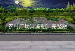 农村广场舞减肥舞完整版
