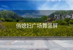 俏媳妇广场舞竖屏