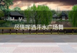 尽情挥洒汗水广场舞
