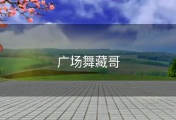 广场舞藏哥