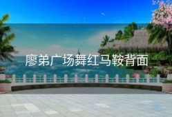 廖弟广场舞红马鞍背面