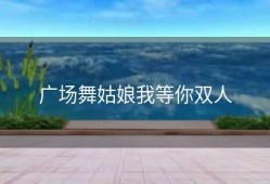 广场舞姑娘我等你双人