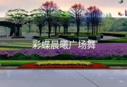 彩蝶晨曦广场舞