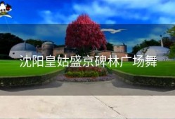 沈阳皇姑盛京碑林广场舞