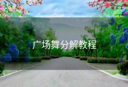 广场舞分解教程