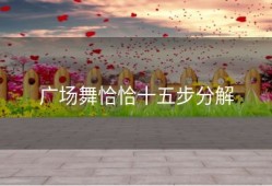 广场舞恰恰十五步分解