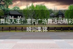 舞动人生：室内广场舞活动精彩瞬间集锦