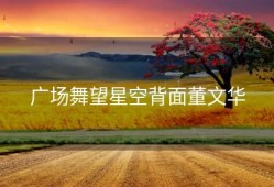 广场舞望星空背面董文华