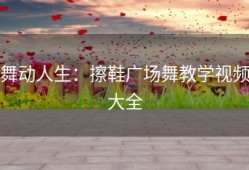 舞动人生：擦鞋广场舞教学视频大全