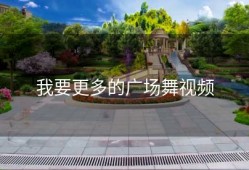 我要更多的广场舞视频