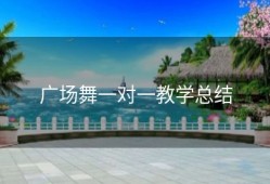 广场舞一对一教学总结