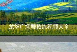龙华广场舞教练视频大全