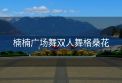 楠楠广场舞双人舞格桑花