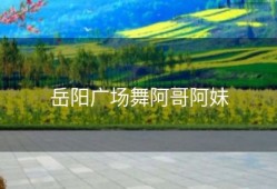 岳阳广场舞阿哥阿妹