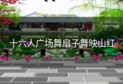 十六人广场舞扇子舞映山红