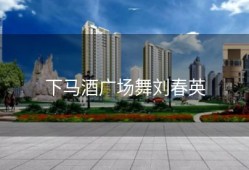 下马酒广场舞刘春英