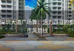 深圳大道广场舞：活力四溢的都市风景线