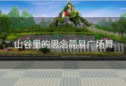 山谷里的思念简易广场舞