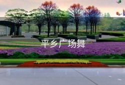 平乡广场舞