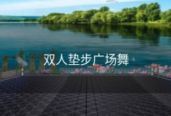 双人垫步广场舞
