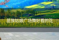 苗族姑娘广场舞好看的花