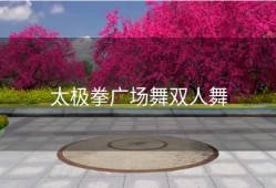 太极拳广场舞双人舞