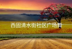 西固清水街社区广场舞