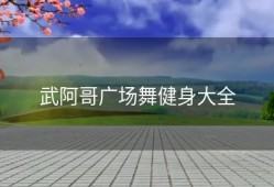 武阿哥广场舞健身大全
