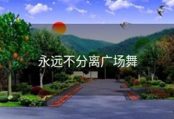 永远不分离广场舞