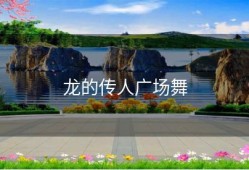 龙的传人广场舞