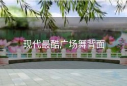 现代最酷广场舞背面