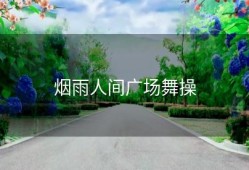 烟雨人间广场舞操
