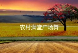 农村满堂广场舞