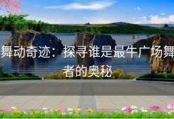 舞动奇迹：探寻谁是最牛广场舞者的奥秘