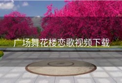 广场舞花楼恋歌视频下载