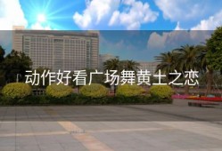 动作好看广场舞黄土之恋