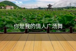 你是我的情人广场舞