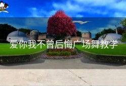 爱你我不曾后悔广场舞教学