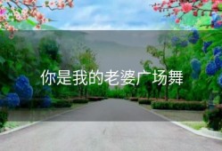 你是我的老婆广场舞