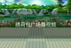 绣荷包广场舞视频