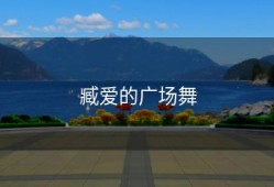 臧爱的广场舞